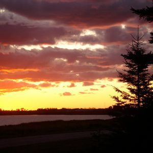 Meet your Posher, Malcolm